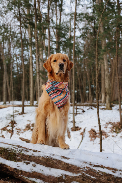 Alpenglow Bandana
