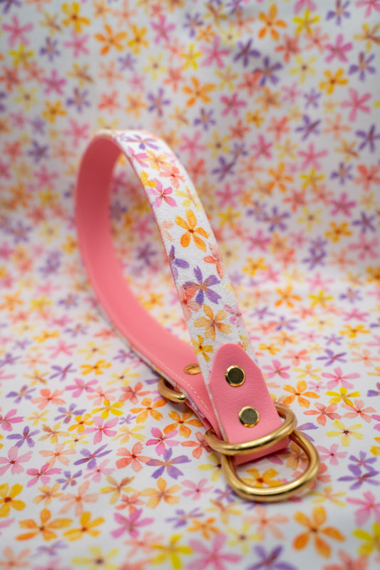 Starburst Petals Velvet Collar