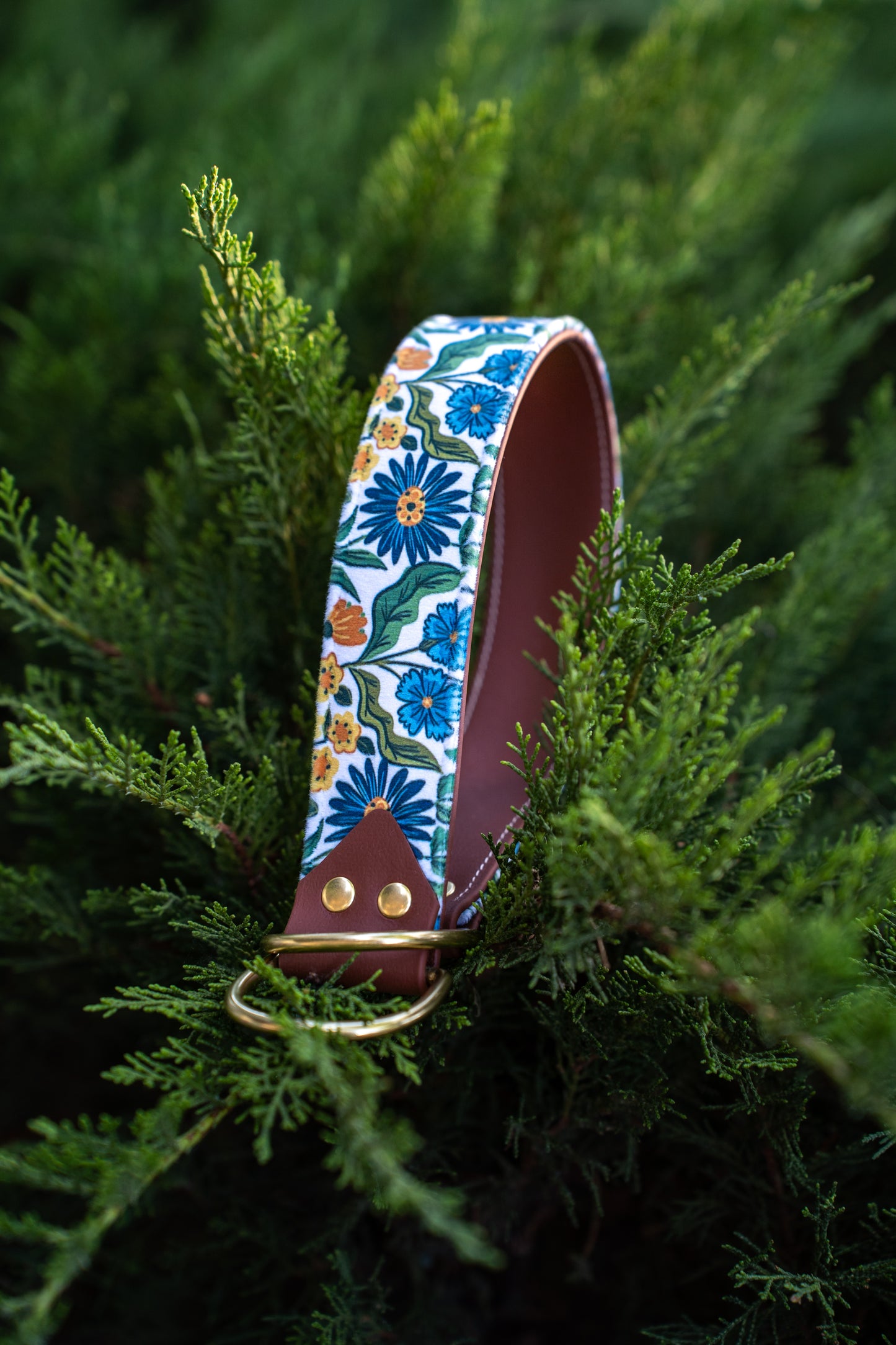 Morning Glory Velvet Collar