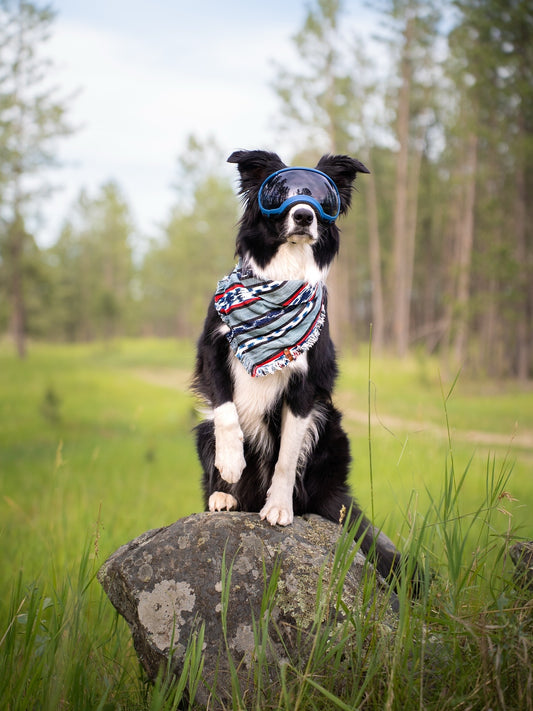 Liberty Bandana