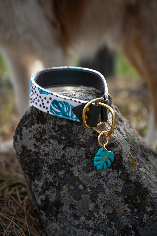 Monstera Velvet Collar