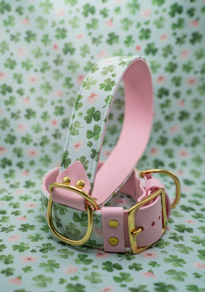 Lucky Charm Velvet Collar