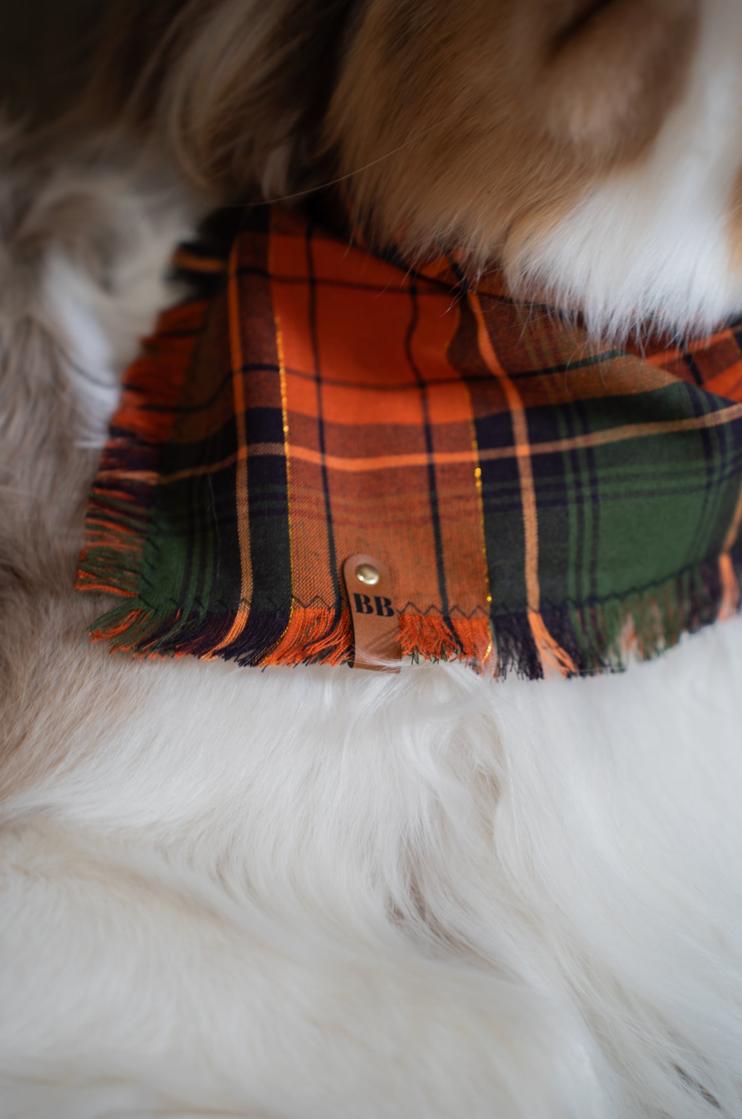 Patch Plaid Bandana