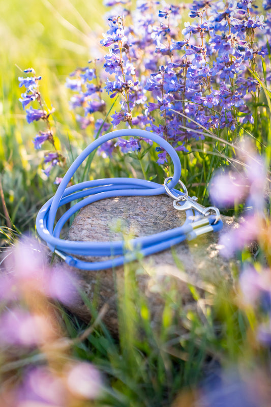 Rolled Adventure Leash