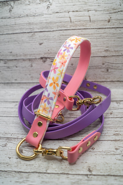 Starburst Petals Velvet Collar