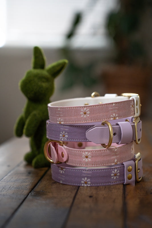 Forest Forage Daisies Collars