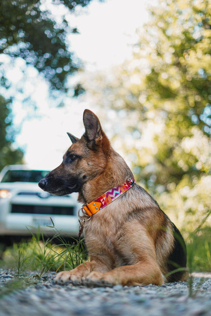 Sorbet Velvet Collar