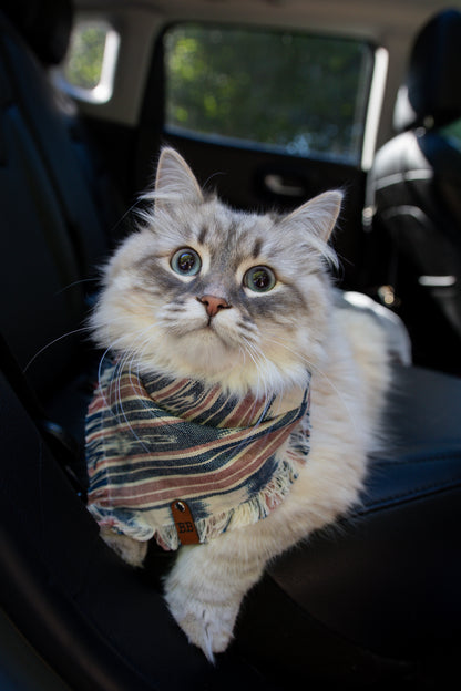 Sky Pond Bandana