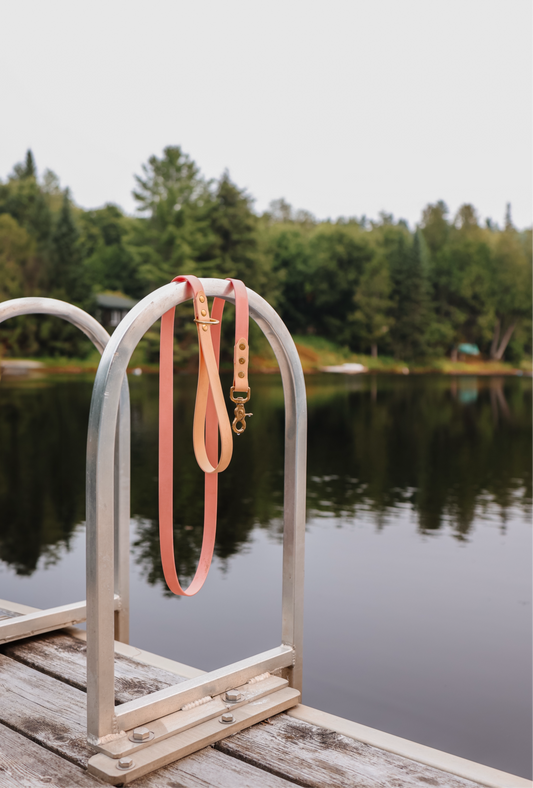Adventure Leash