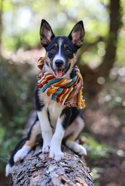 Wild West Bandana
