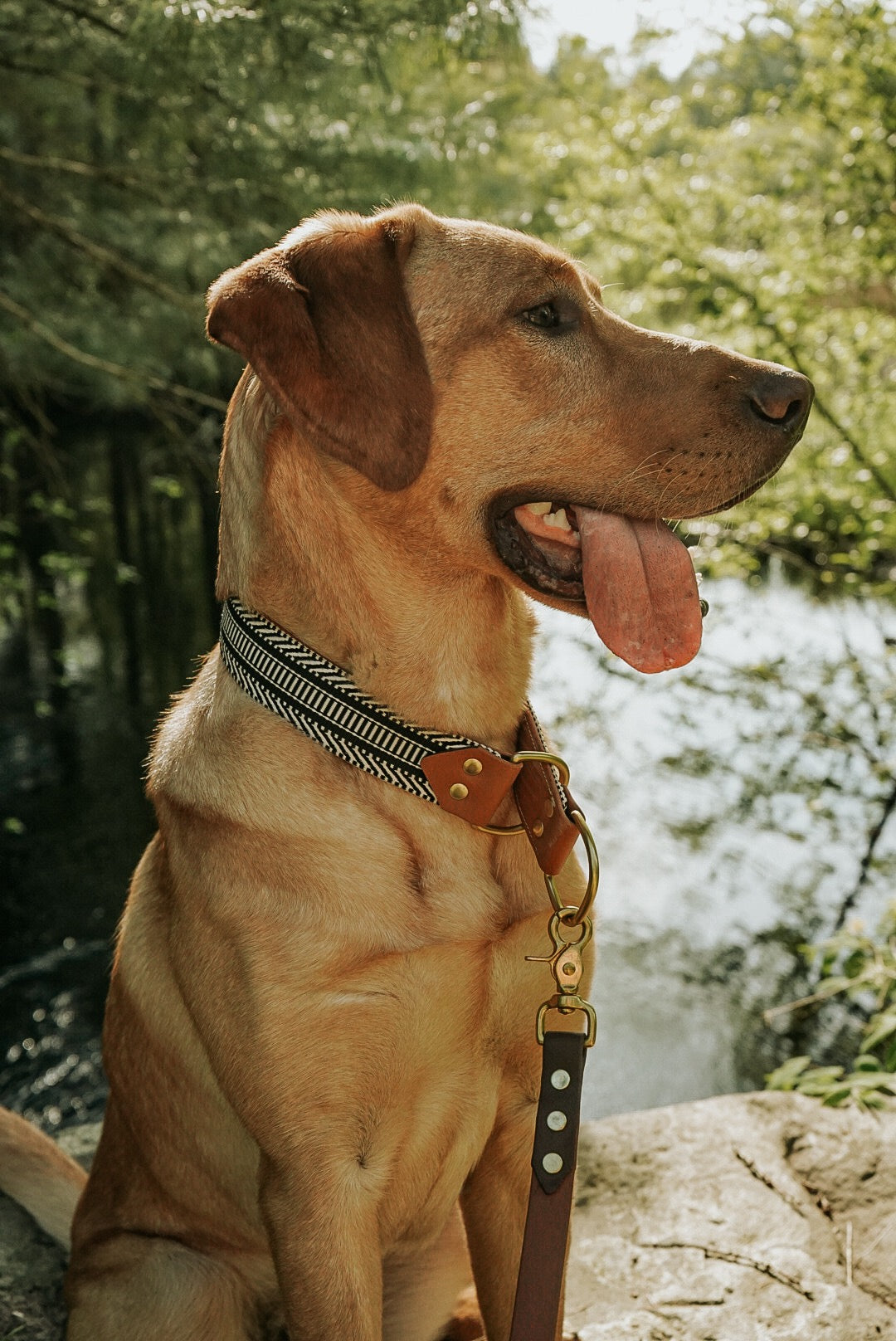 Ebony Collar