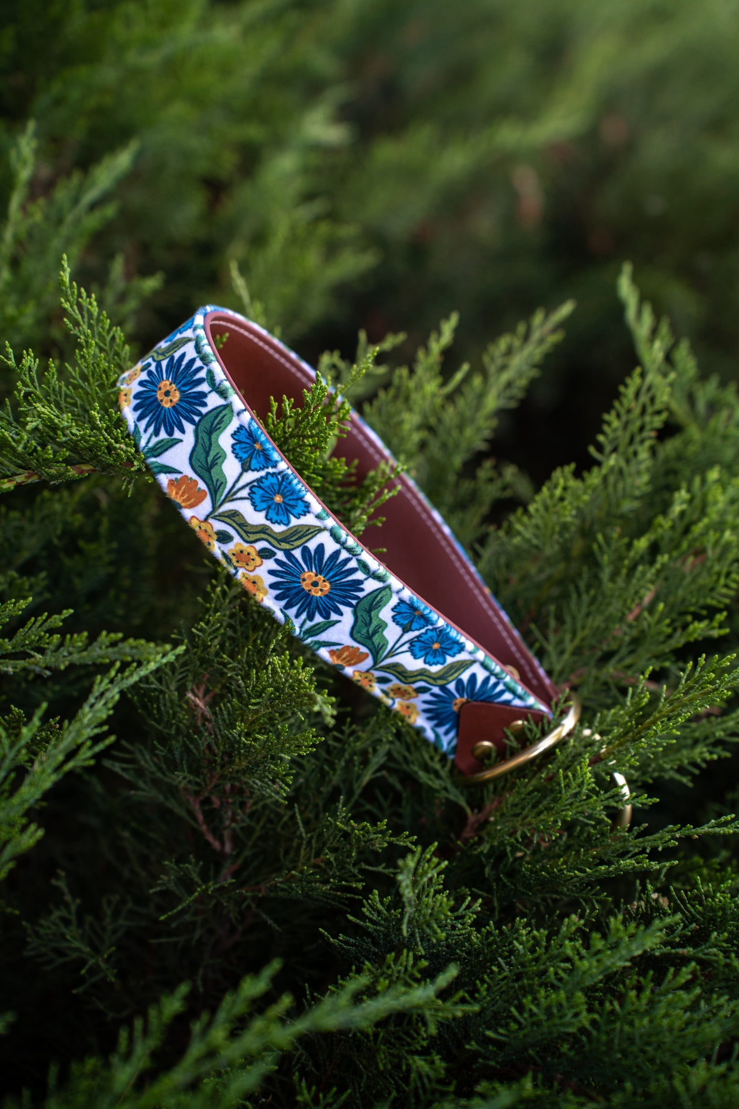 Morning Glory Velvet Collar