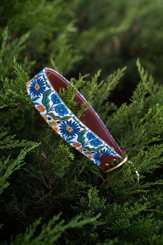 Morning Glory Velvet Collar