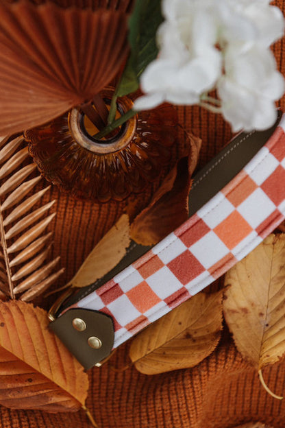 Autumn Velvet Collar