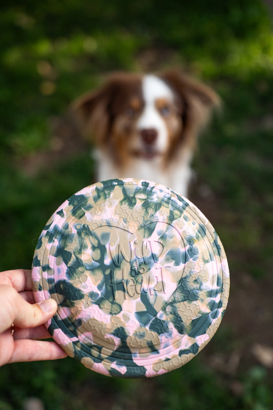 BB Wild Frisbee