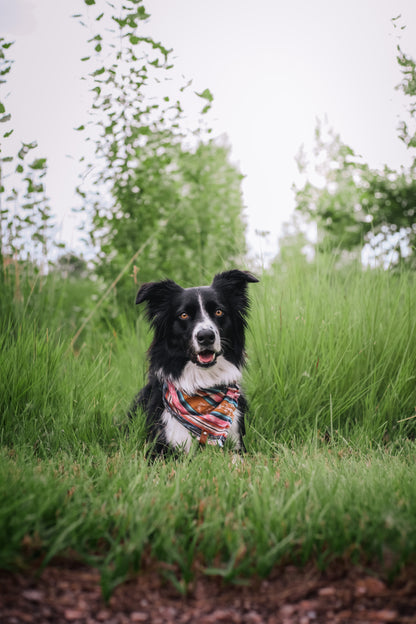 Alpenglow Bandana