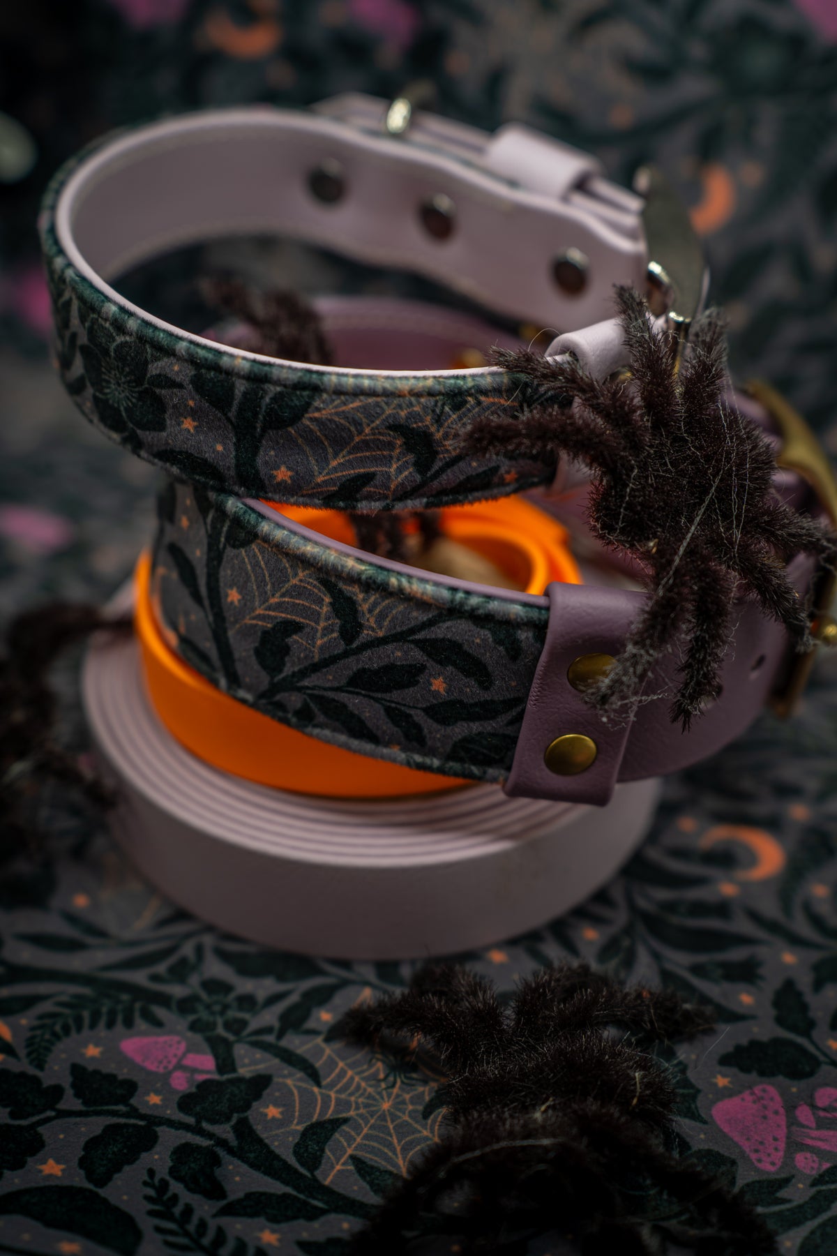 Midnight Magic Velvet Collar