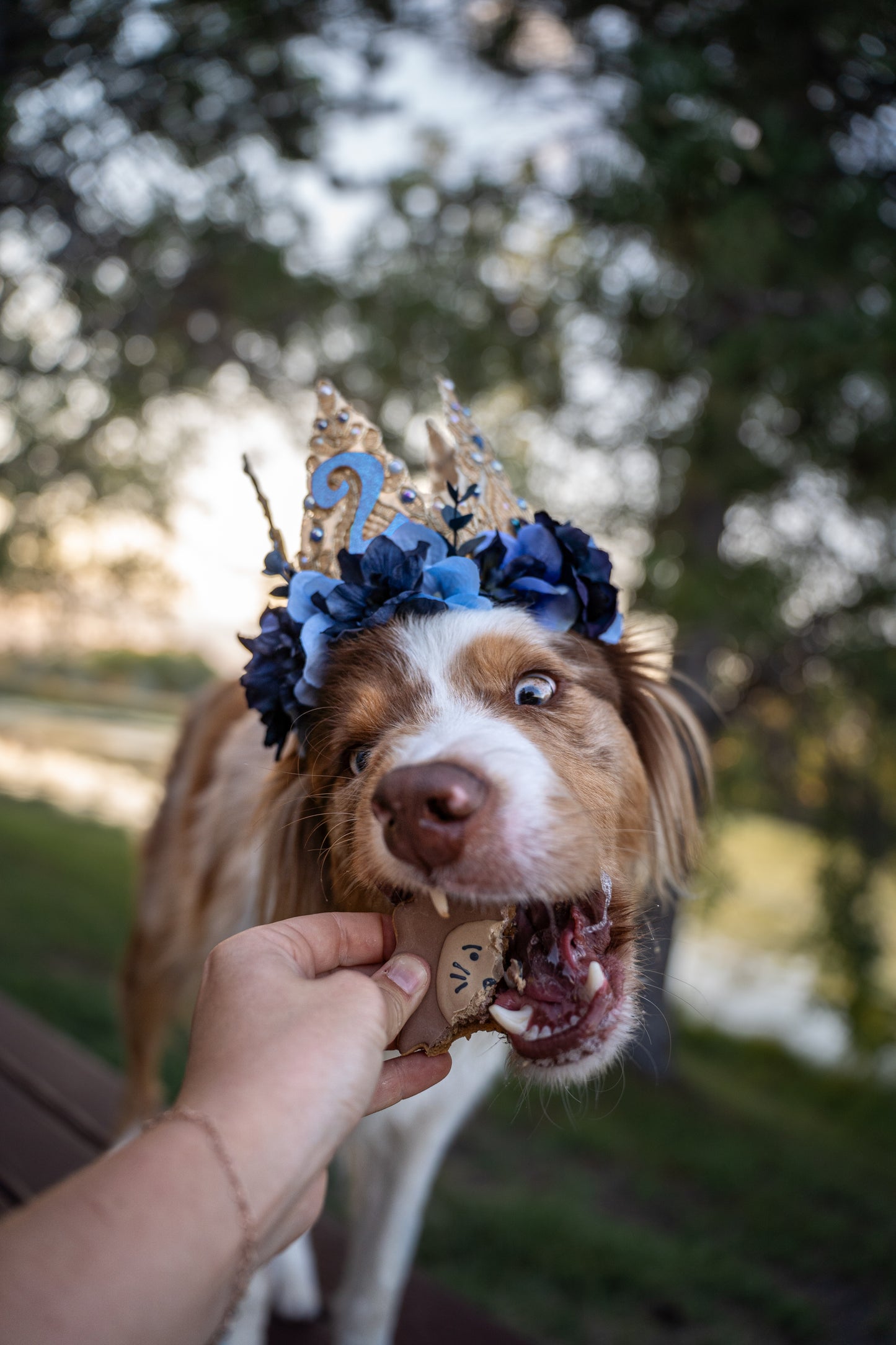 Birthday Flower Crown