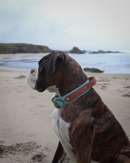 Roam Collar