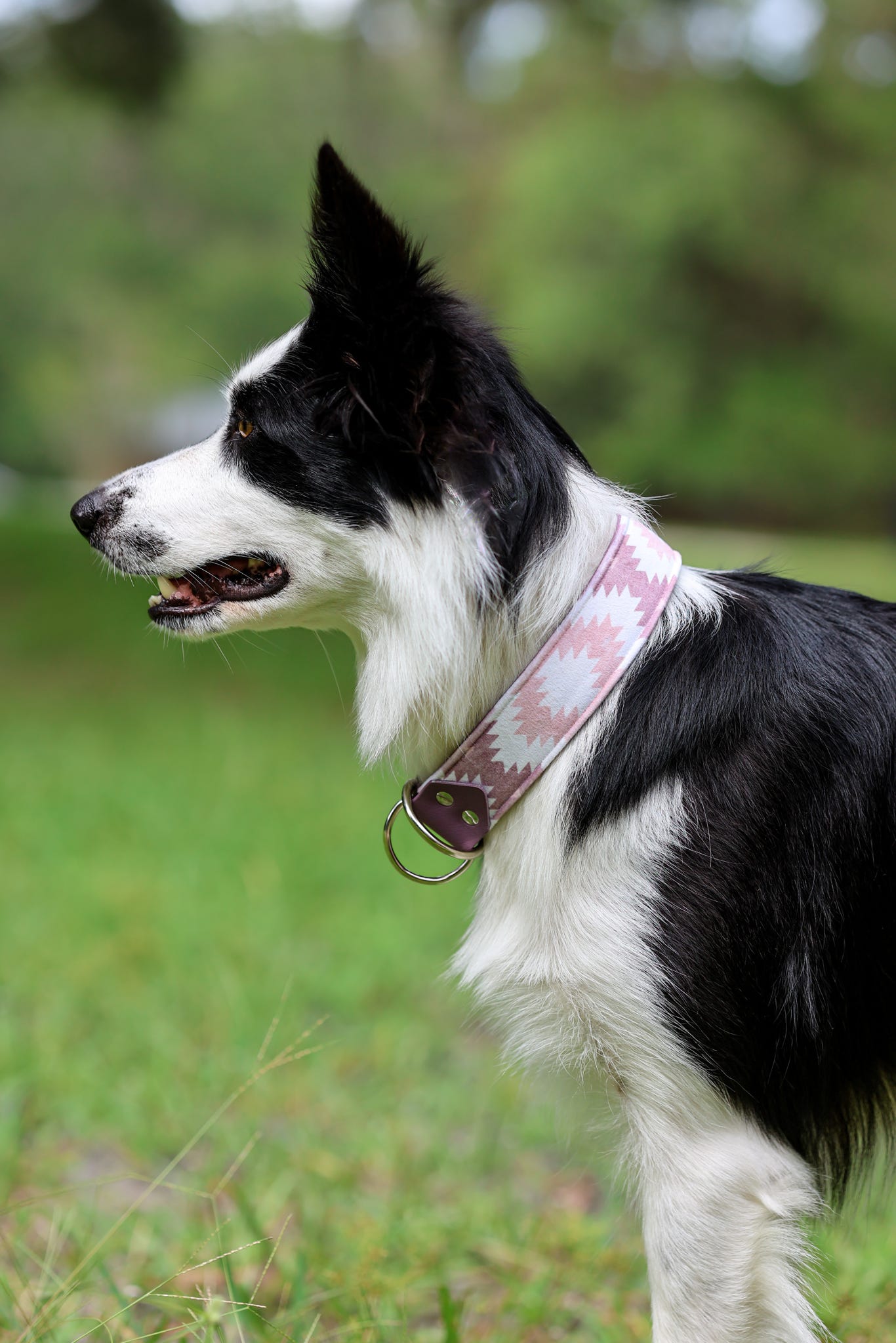 Aztec Velvet Collars