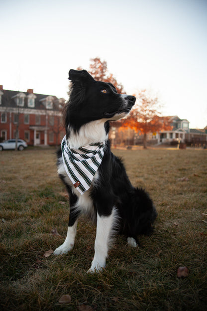 Candy Cane Bandana