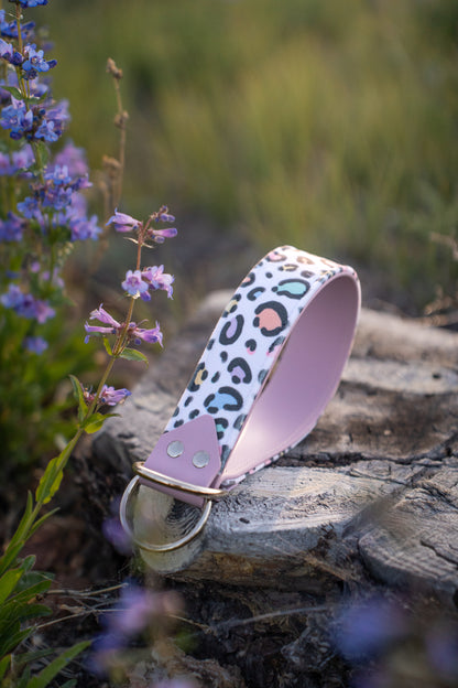 Pastel Panther Velvet Collar