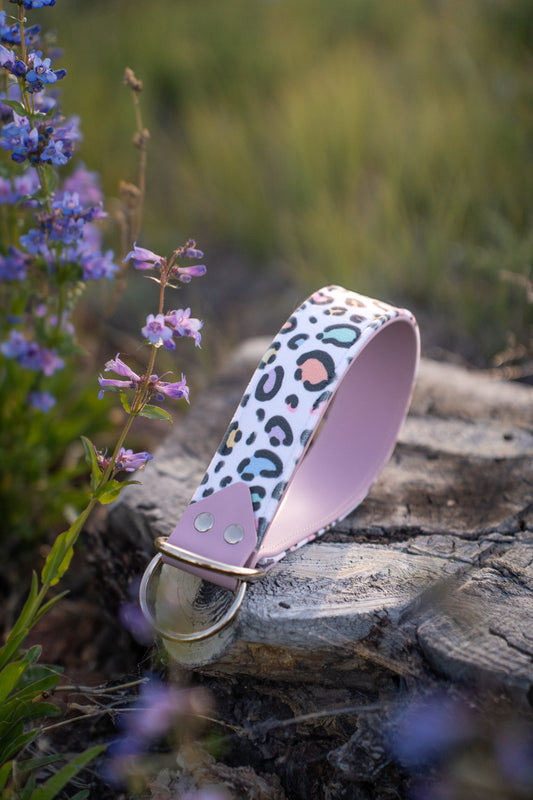 Pastel Panther Velvet Collar
