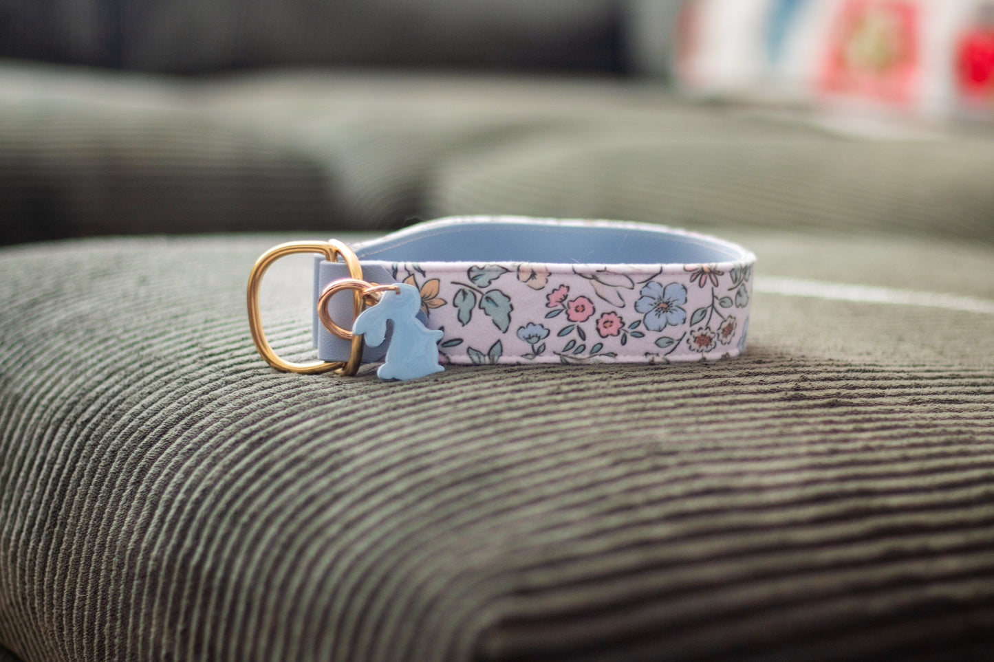 Cotton Tail Velvet Collar