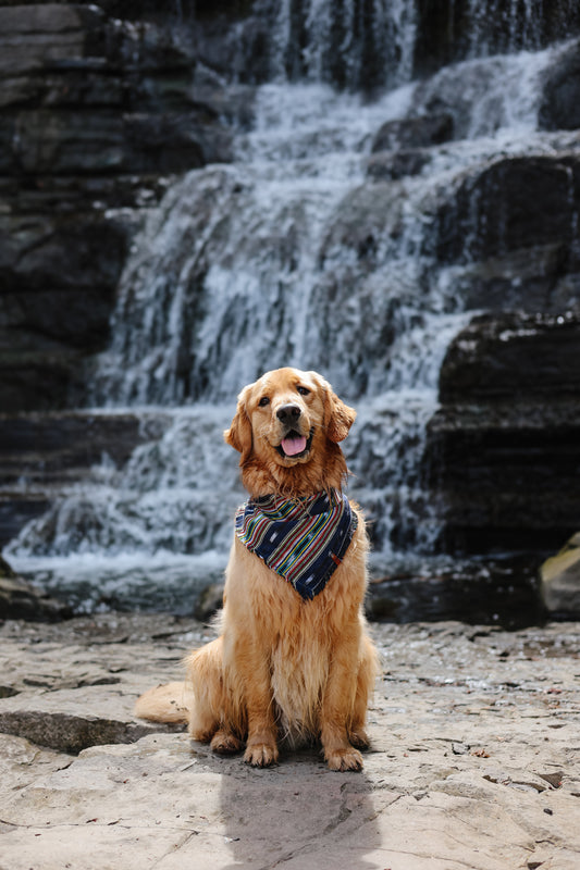 Marine Bandana