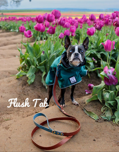 All-In-One Leash