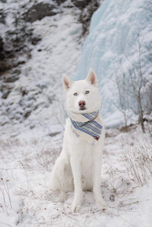 White Sands Bandana