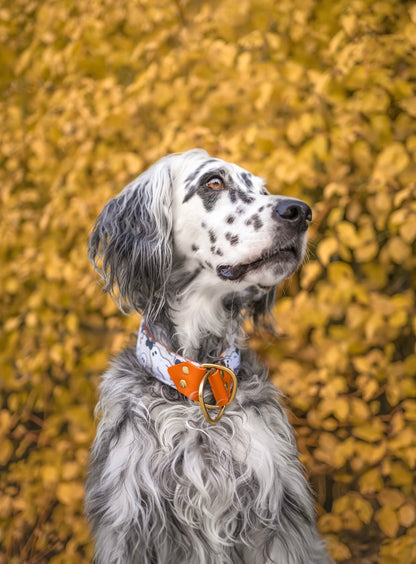 Ghosties Velvet Collar