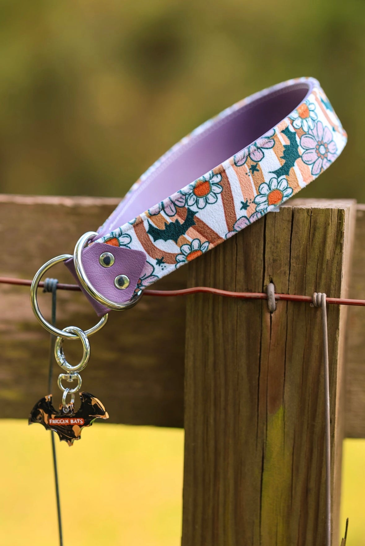 Boogie Bats Velvet Collar