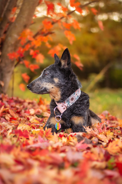 Floret Velvet Collar