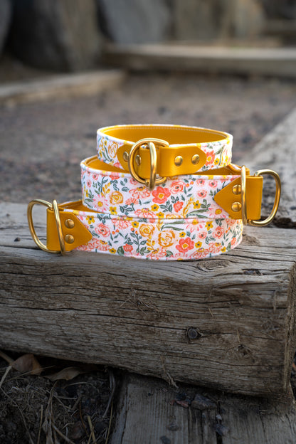 Marigold Velvet Collar