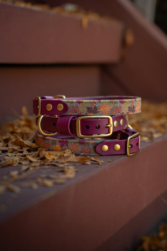 Maple Leaf Velvet Collar