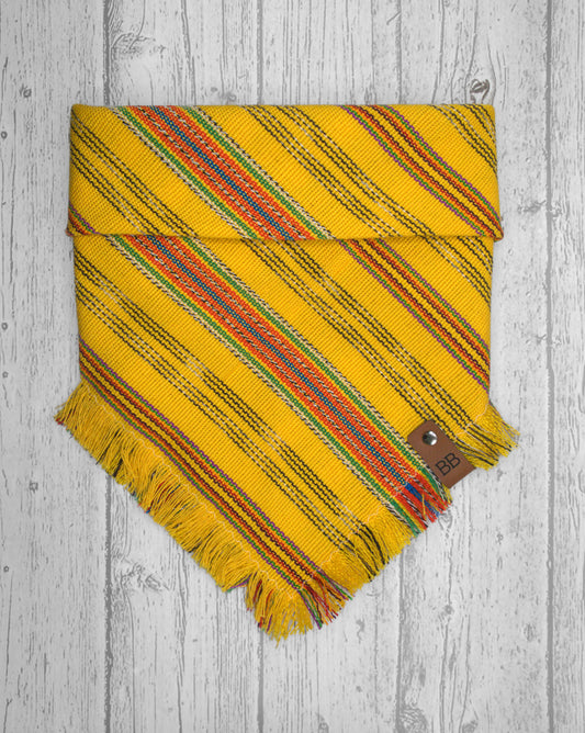 Sonoran Bandana