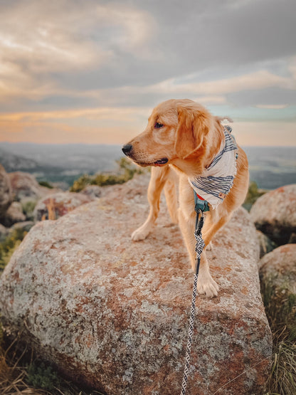 White Sands Bandana