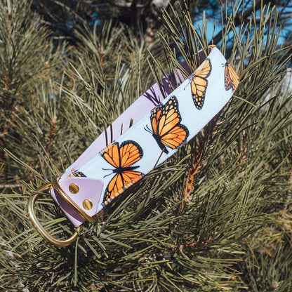 Monarch Velvet Collar