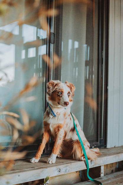 White Sands Bandana