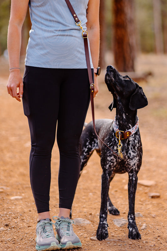 All-In-One Wander Leash