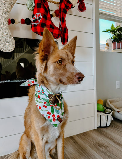 Frosted Cranberry Velvet Collar