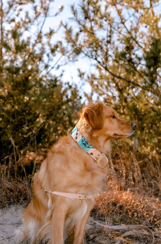 Tidal Velvet Collar