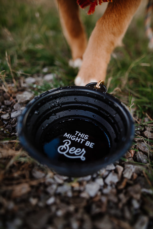 Collapsible Dog Bowl