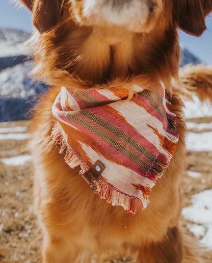 Vail Bandana