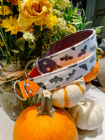 Bats Velvet Collar